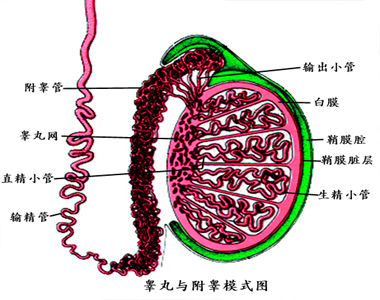 Ԥغ쳣