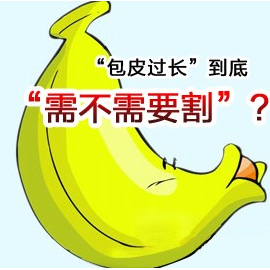ƤҽԺļҰ?