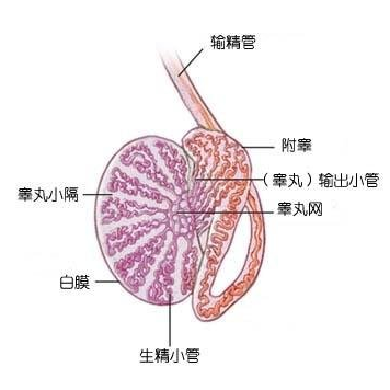 غ跢Ϊʲô׷?